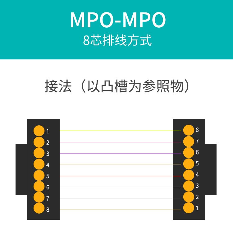 多模万兆MPO-MPO 8芯OM4光纤跳线 40G/100G模块用跳纤_http://www.haile-cn.com.cn_布线产品_第4张