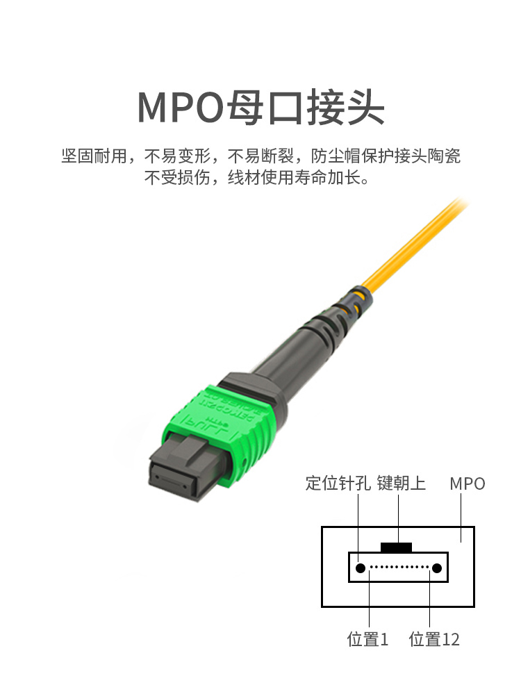 单模MPO-LC光纤跳线12芯 OS2万兆单模40G转10G 模块用跳纤_http://www.haile-cn.com.cn_布线产品_第2张