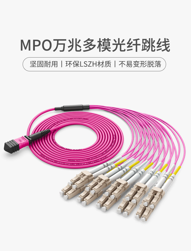 多模万兆MPO-LC 24芯OM4光纤跳线 100G转10对LC MPO分支光纤跳纤_http://www.haile-cn.com.cn_布线产品_第1张