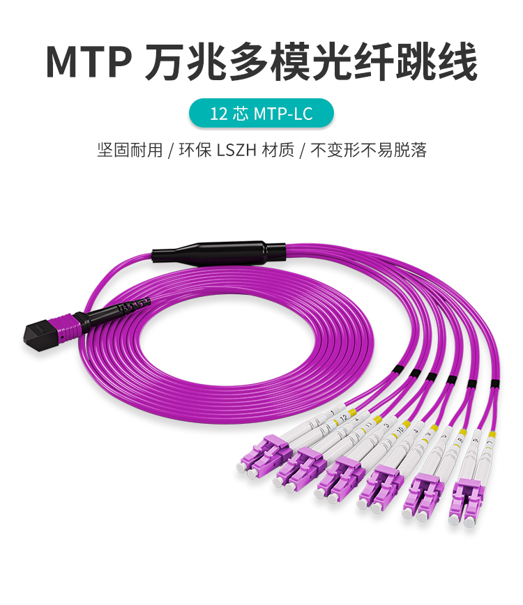 光纤跳线MTP-LC 12芯40G转10G/100G转25G多模万兆OM4 MTP分支光纤线_http://www.haile-cn.com.cn_布线产品_第1张